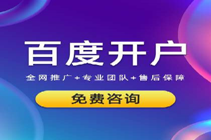 百度竞价SEM案例研究：提升转化率的关键策略